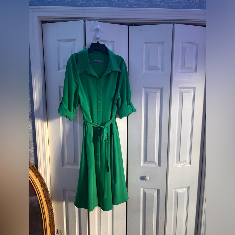 Green Sharagano midi Dress